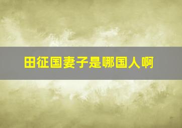 田征国妻子是哪国人啊