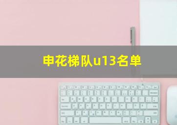 申花梯队u13名单