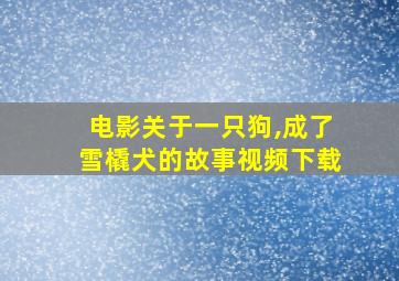 电影关于一只狗,成了雪橇犬的故事视频下载