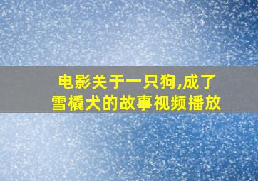 电影关于一只狗,成了雪橇犬的故事视频播放