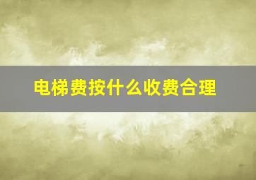 电梯费按什么收费合理