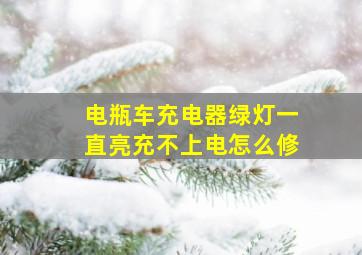 电瓶车充电器绿灯一直亮充不上电怎么修