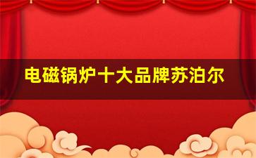 电磁锅炉十大品牌苏泊尔