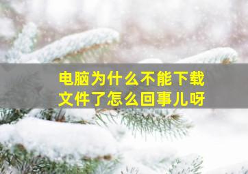 电脑为什么不能下载文件了怎么回事儿呀