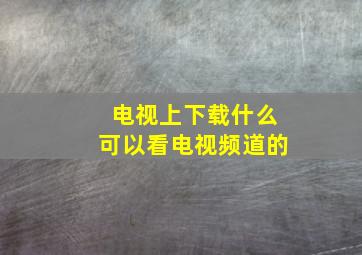 电视上下载什么可以看电视频道的