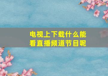 电视上下载什么能看直播频道节目呢