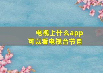 电视上什么app可以看电视台节目