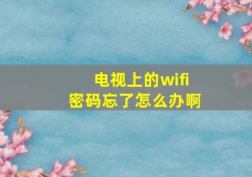 电视上的wifi密码忘了怎么办啊