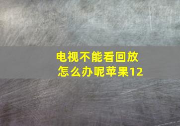 电视不能看回放怎么办呢苹果12