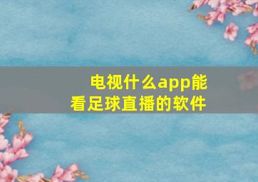 电视什么app能看足球直播的软件