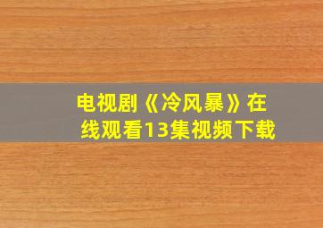 电视剧《冷风暴》在线观看13集视频下载