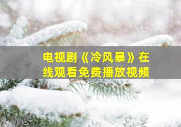 电视剧《冷风暴》在线观看免费播放视频