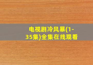 电视剧冷风暴(1-35集)全集在线观看