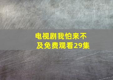 电视剧我怕来不及免费观看29集