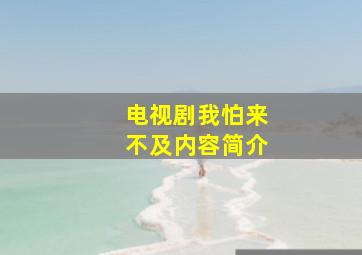 电视剧我怕来不及内容简介