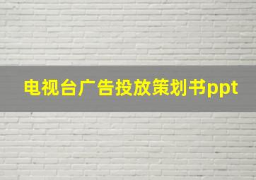 电视台广告投放策划书ppt