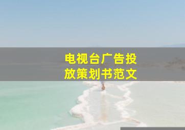 电视台广告投放策划书范文