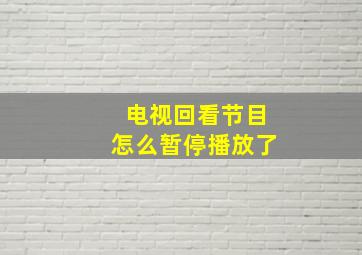 电视回看节目怎么暂停播放了