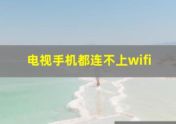 电视手机都连不上wifi