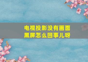 电视投影没有画面黑屏怎么回事儿呀