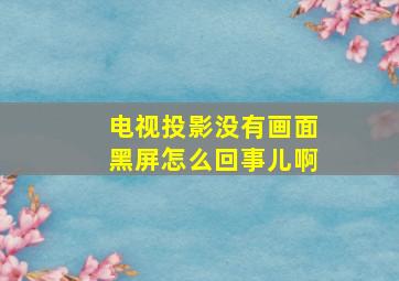 电视投影没有画面黑屏怎么回事儿啊