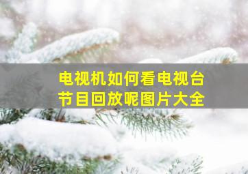 电视机如何看电视台节目回放呢图片大全