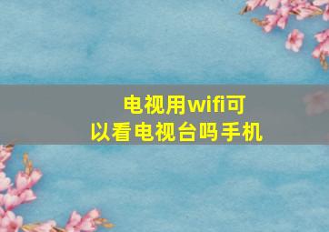 电视用wifi可以看电视台吗手机