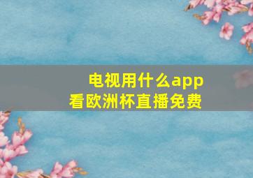 电视用什么app看欧洲杯直播免费