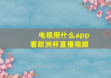 电视用什么app看欧洲杯直播视频