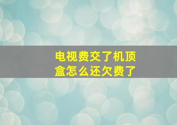 电视费交了机顶盒怎么还欠费了