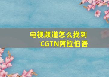 电视频道怎么找到CGTN阿拉伯语