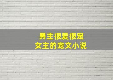 男主很爱很宠女主的宠文小说