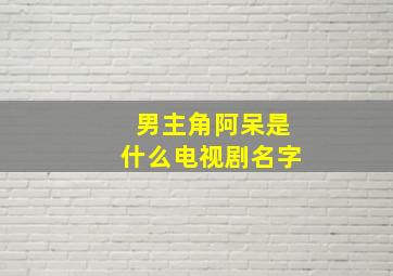 男主角阿呆是什么电视剧名字