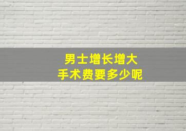 男士增长增大手术费要多少呢