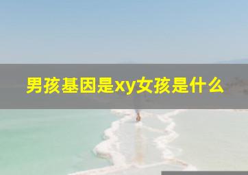 男孩基因是xy女孩是什么