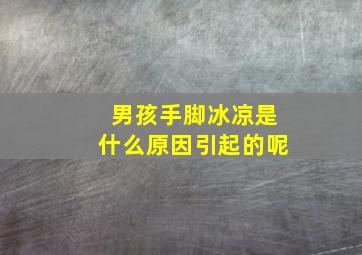 男孩手脚冰凉是什么原因引起的呢