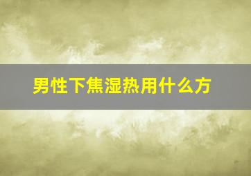 男性下焦湿热用什么方