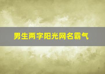 男生两字阳光网名霸气