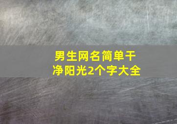 男生网名简单干净阳光2个字大全