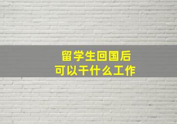 留学生回国后可以干什么工作