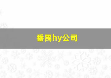 番禺hy公司