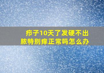 疖子10天了发硬不出脓特别痒正常吗怎么办