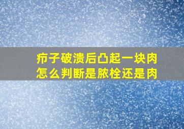 疖子破溃后凸起一块肉怎么判断是脓栓还是肉