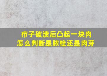 疖子破溃后凸起一块肉怎么判断是脓栓还是肉芽