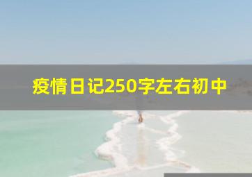 疫情日记250字左右初中