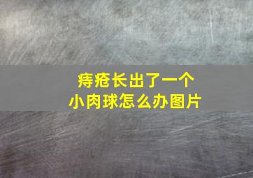 痔疮长出了一个小肉球怎么办图片