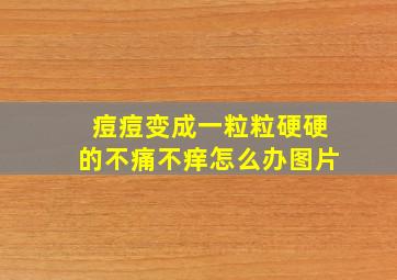 痘痘变成一粒粒硬硬的不痛不痒怎么办图片