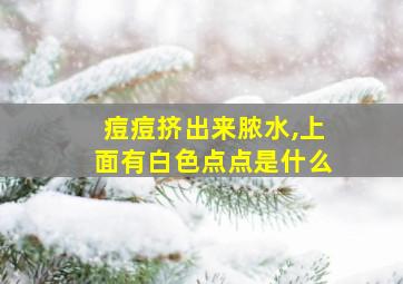 痘痘挤出来脓水,上面有白色点点是什么