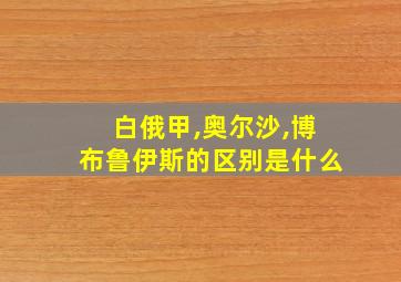 白俄甲,奥尔沙,博布鲁伊斯的区别是什么