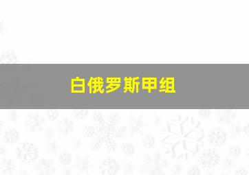 白俄罗斯甲组